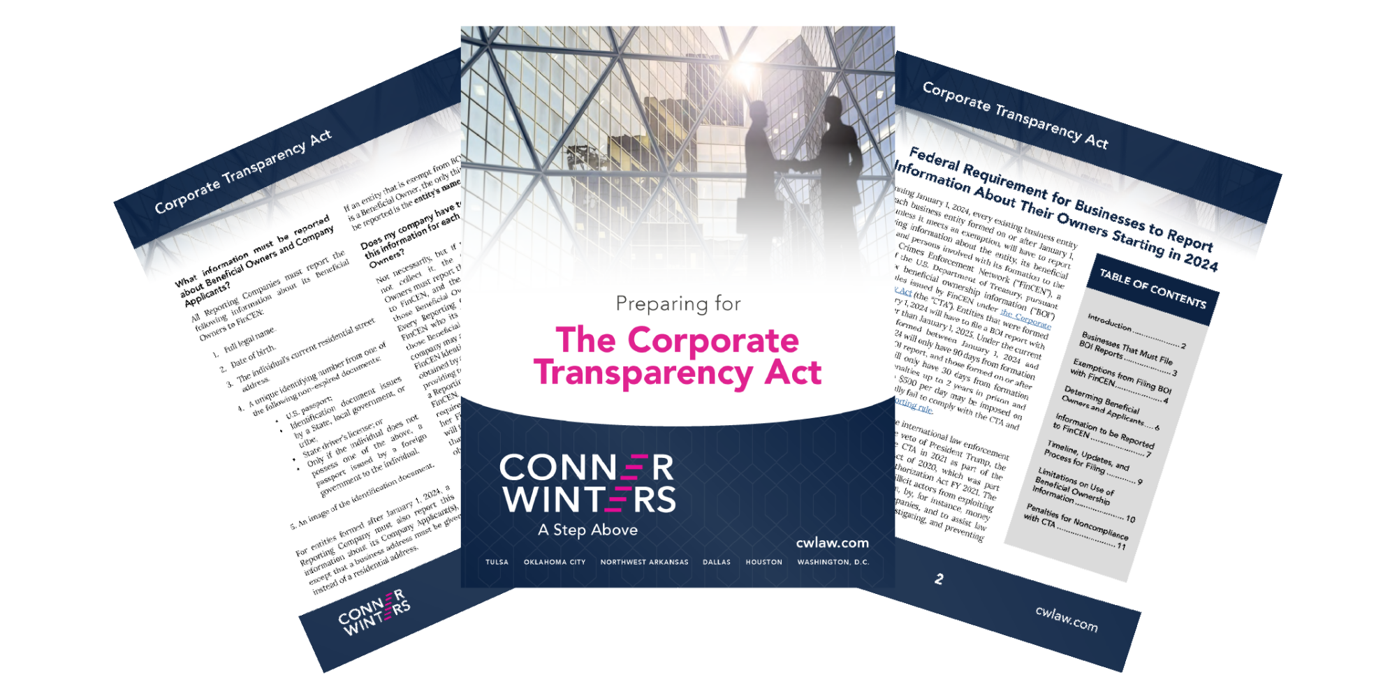 Corporate Transparency Guide PDF